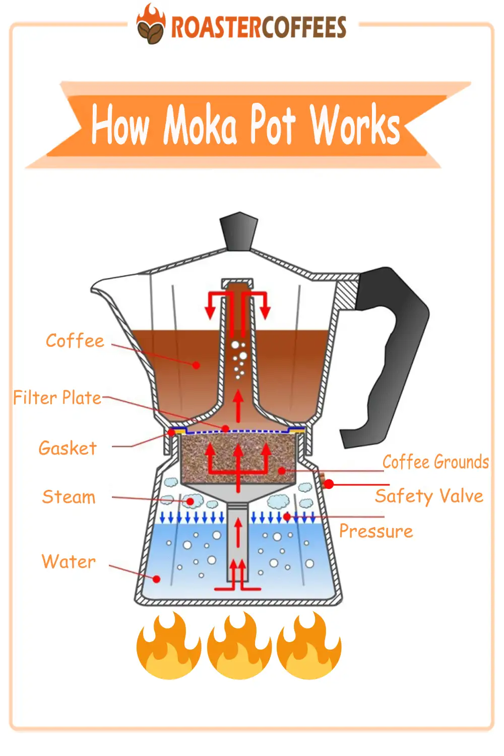 The working principle of the Moka pot, including the process of how coffee is formed in the pot
